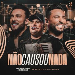 Album cover of Não Causou Nada (Ao Vivo)
