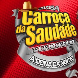 Album cover of Carroça Da Saudade
