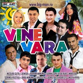 Album cover of Vine Vara
