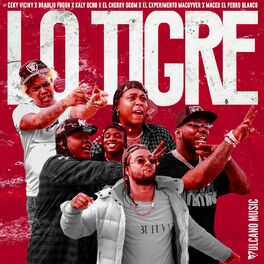 Album cover of Lo Tigre