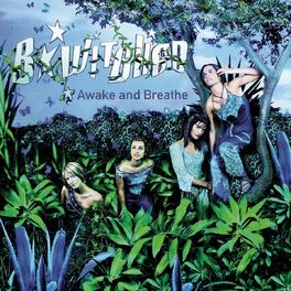 Album cover of Awake And Breathe