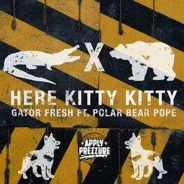 Album cover of Here Kitty Kitty