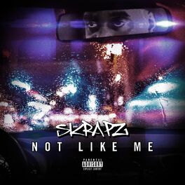 Album cover of Not Like Me