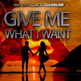 Album cover of Give Me What I Want (feat. PRESSURE)