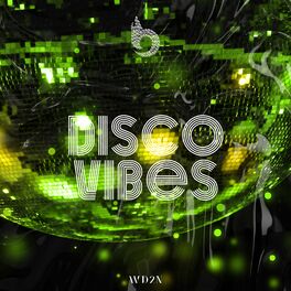 Album cover of Disco Vibes