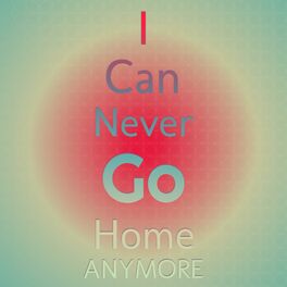 Album cover of I Can Never Go Home Anymore