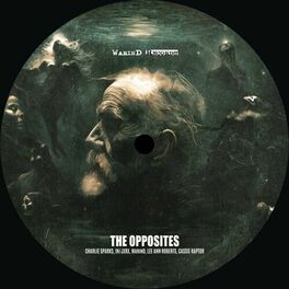 Album cover of The Opposites
