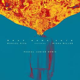 Album cover of What Mama Said (Pascal Junior Remix)