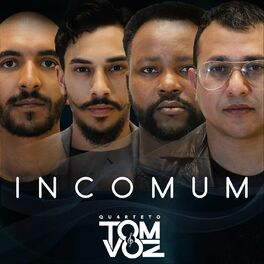 Album cover of Incomum