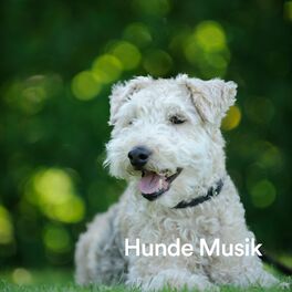 Album cover of Hunde Music