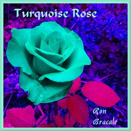 Album cover of Turquoise Rose