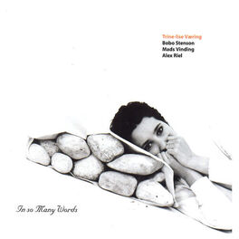 Album cover of In so Many Words