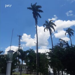 Album cover of Celestial