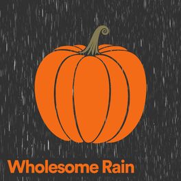 Album cover of Wholesome Rain