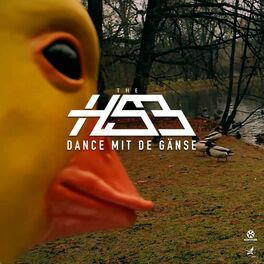 Album cover of Dance mit de Gänse