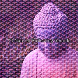 Album cover of 73 Natural Reflecting Sounds