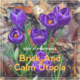 Album cover of Brisk And Calm Utopia