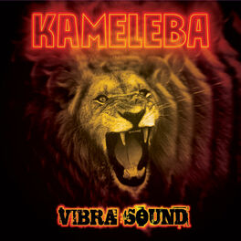 Album cover of Vibra Sound