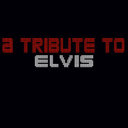 Album cover of A Tribute to Elvis