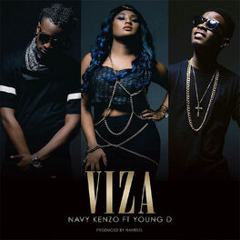 Album cover of Viza
