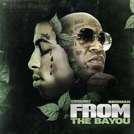 Album cover of From The Bayou