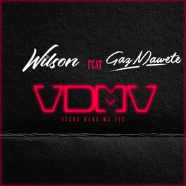 Album cover of VDMV