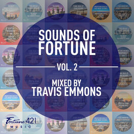 Album cover of Sounds of Fortune Volume 2