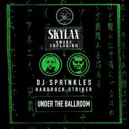 Album cover of Skylax House Explosion - Under The Ballroom