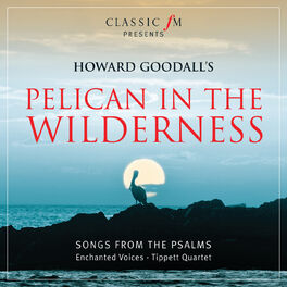 Album cover of Pelican In The Wilderness (Songs From The Psalms - Digital Exclusive)