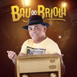 Album cover of O Baú do Briola