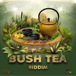 Album cover of Bush Tea Riddim
