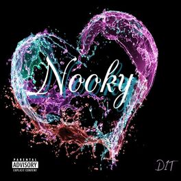 Album cover of Nooky