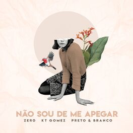 Album cover of Não Sou de Me Apegar