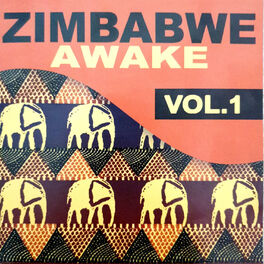 Album cover of Zimbabwe Awake Vol.1