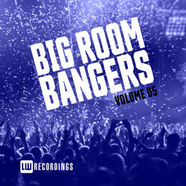 Album cover of Big Room Bangers, Vol. 05