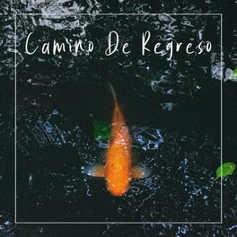 Album cover of Camino de Regreso