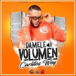 Album cover of Damele Volumen