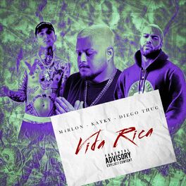 Album cover of Vida Rica