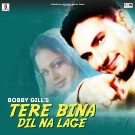 Album cover of Tere Bin Dil Na Lage