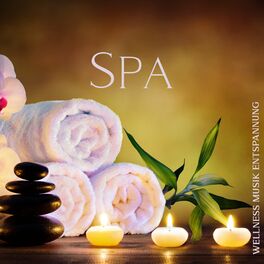 Album cover of Spa: Wellness Musik Entspannung