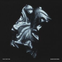 Album cover of What I Did to You (Magnificence Remix)