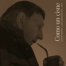 Album picture of Como un Cisne