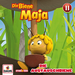 Album cover of 11/Die Austauschbiene (CGI)