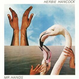 Album cover of Mr. Hands