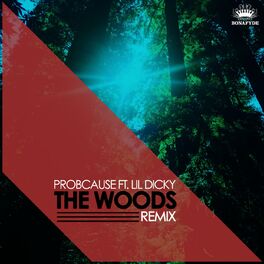 Album cover of The Woods (Remix) [feat. Lil Dicky]