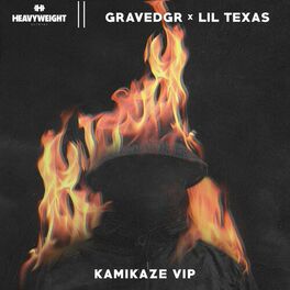 Album cover of KAMIKAZE (VIP)