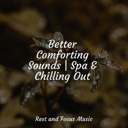 Album cover of Better Comforting Sounds | Spa & Chilling Out