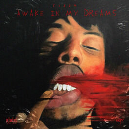 Album cover of Awake in My Dreams