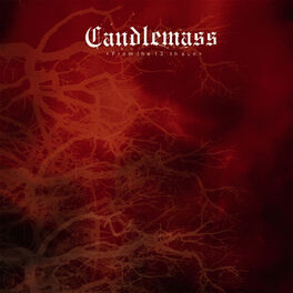 Album cover of From the 13th sun