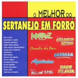 Album cover of O Melhor do Sertanejo em Forró